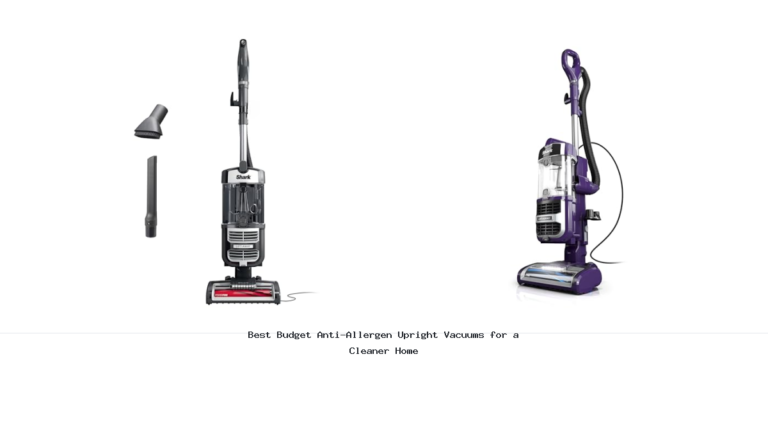 Best Budget Anti-Allergen Upright Vacuums for a Cleaner Home