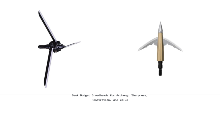 Best Budget Broadheads for Archery: Sharpness, Penetration, and Value