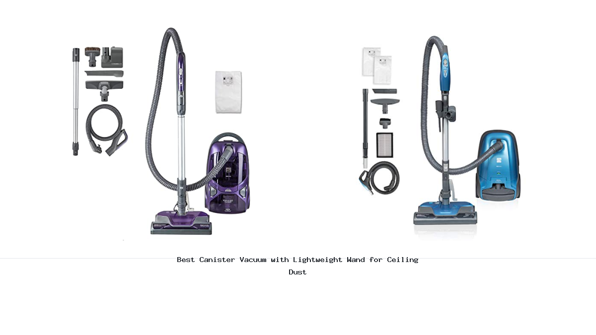 Best Canister Vacuum with Lightweight Wand for Ceiling Dust