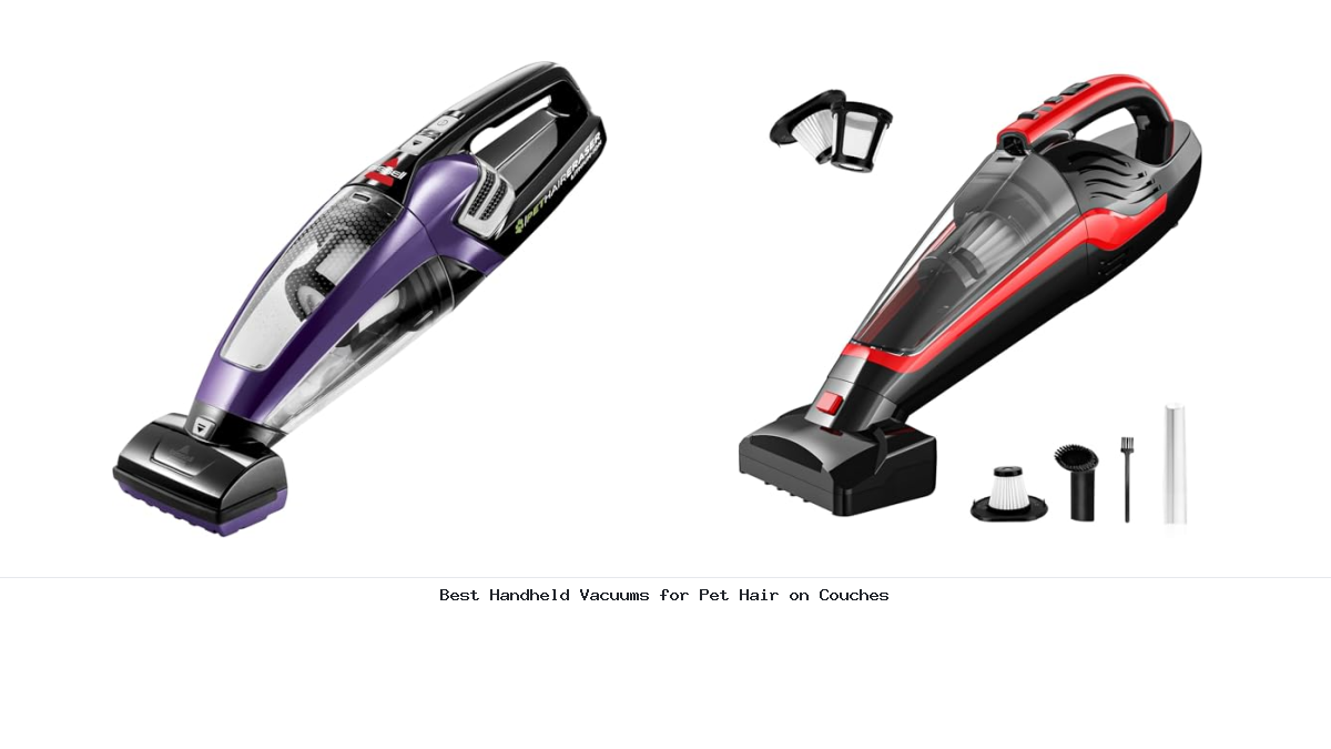 Best Handheld Vacuums for Pet Hair on Couches