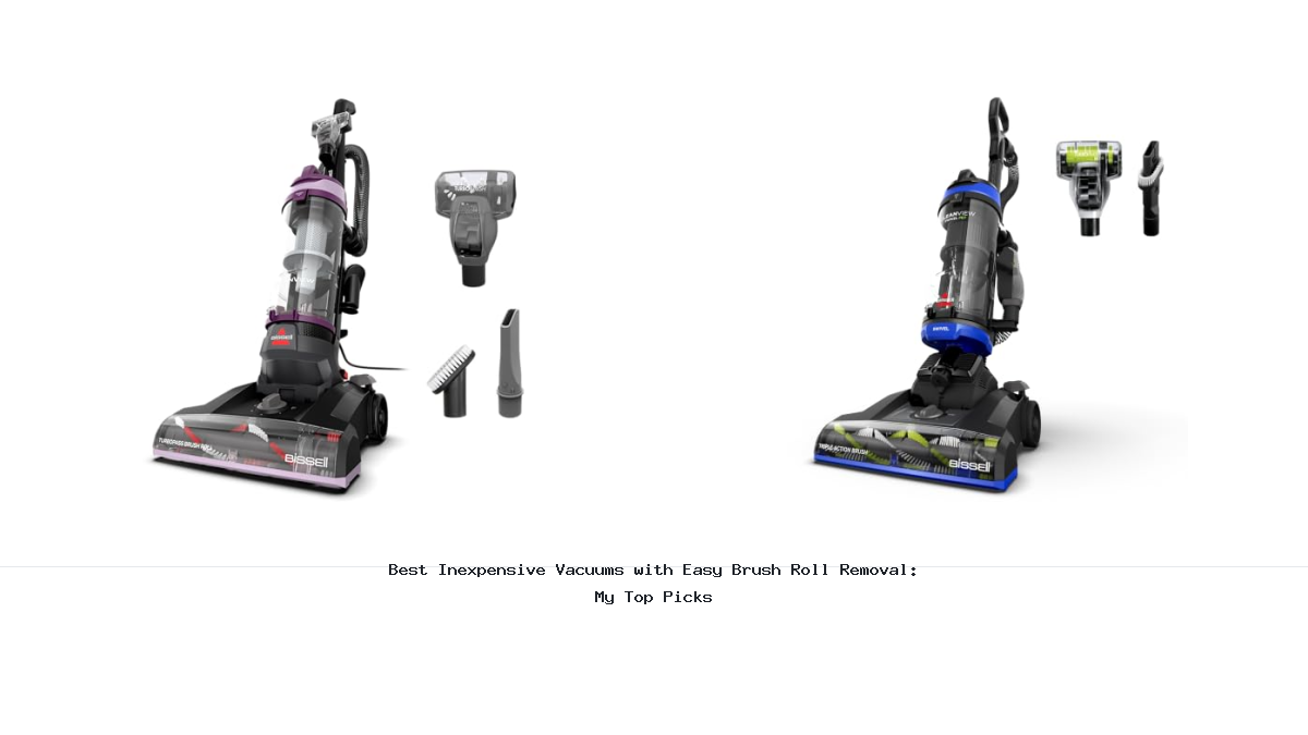 Best Inexpensive Vacuums with Easy Brush Roll Removal: My Top Picks