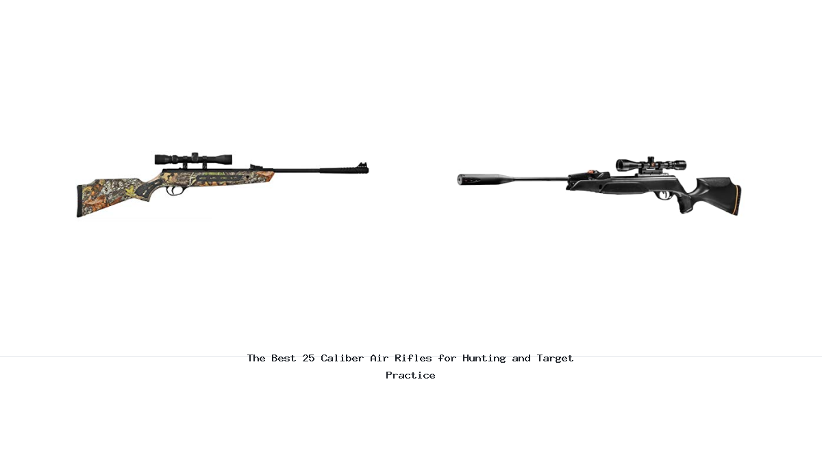 The Best 25 Caliber Air Rifles for Hunting and Target Practice