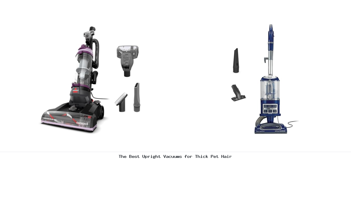 The Best Upright Vacuums for Thick Pet Hair