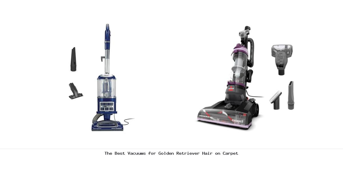 The Best Vacuums for Golden Retriever Hair on Carpet