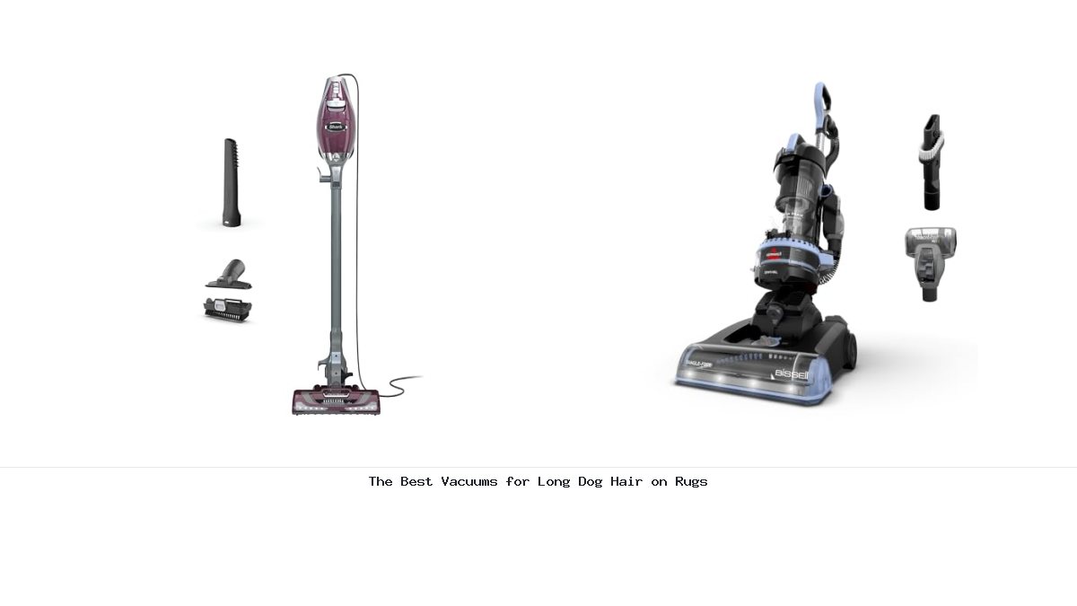 The Best Vacuums for Long Dog Hair on Rugs