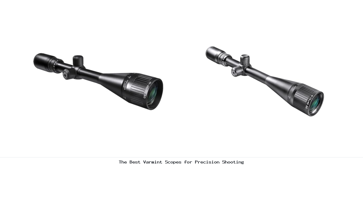 The Best Varmint Scopes for Precision Shooting