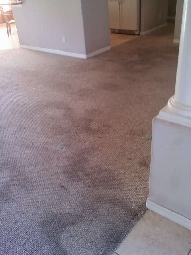 Carpet Clinic of Orlando cleaning work