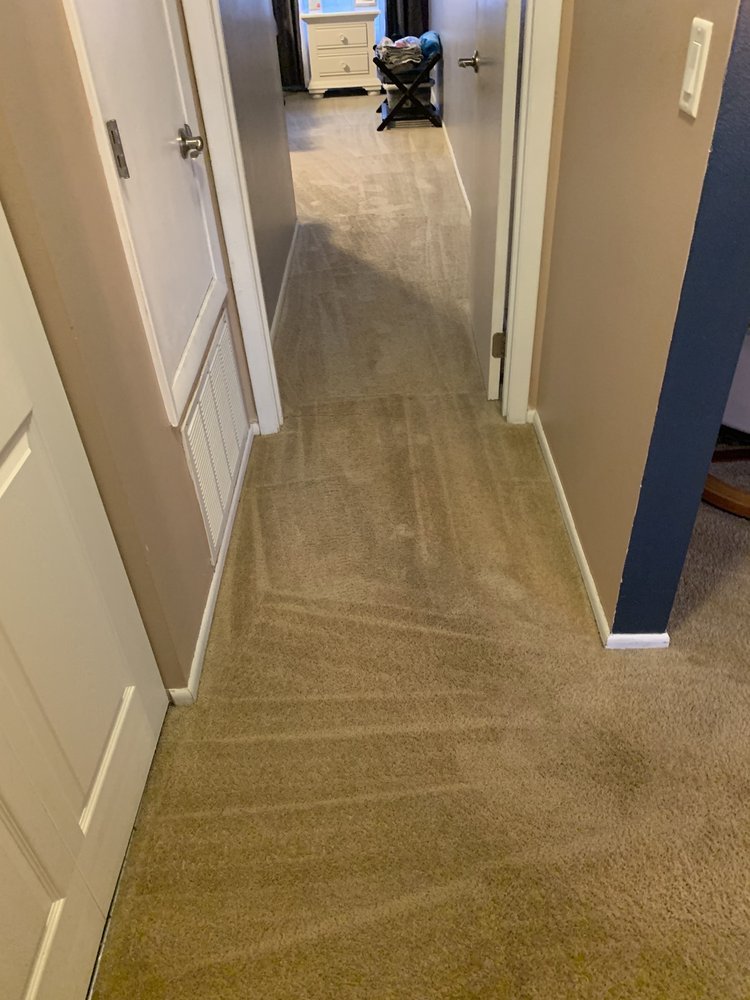 Carpet Clinic of Orlando cleaning work