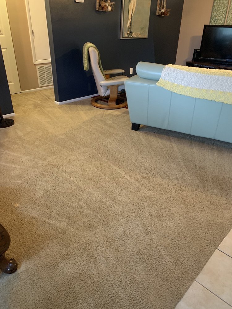 Carpet Clinic of Orlando cleaning work