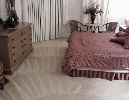 Carpet Clinic of Orlando cleaning work
