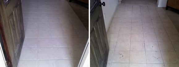 Carpet Clinic of Orlando cleaning work