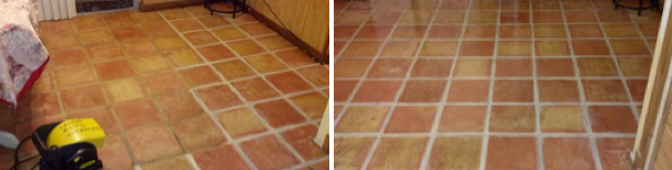 Carpet Clinic of Orlando cleaning work
